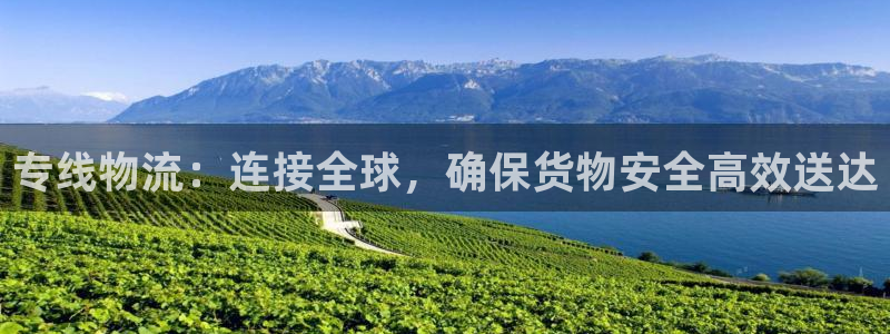 旺财28ip被限制怎么解决：专线物流
