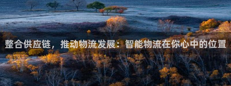 旺财28注册教程：整合供应链，推动物