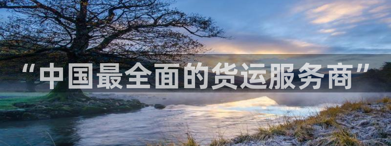 旺财28官方版网站：“中国最全面的货