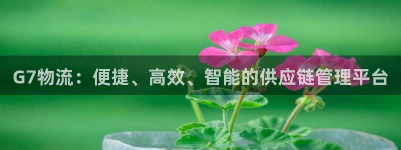 旺财28在线预测：G7物流：便捷、高