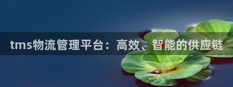 旺财28激活码：tms物流管理平台：