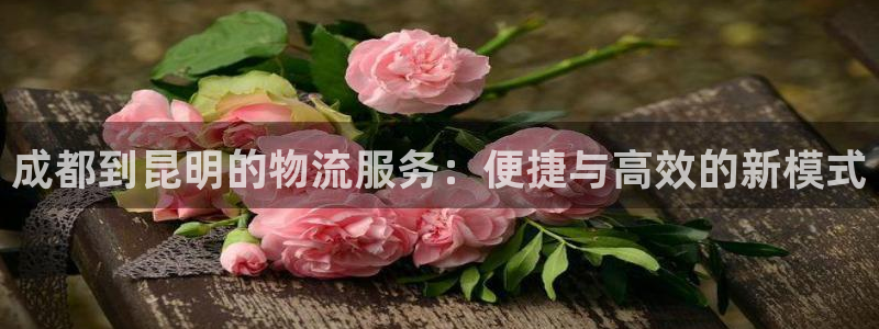 旺财28能退款吗：成都到昆明的物流服