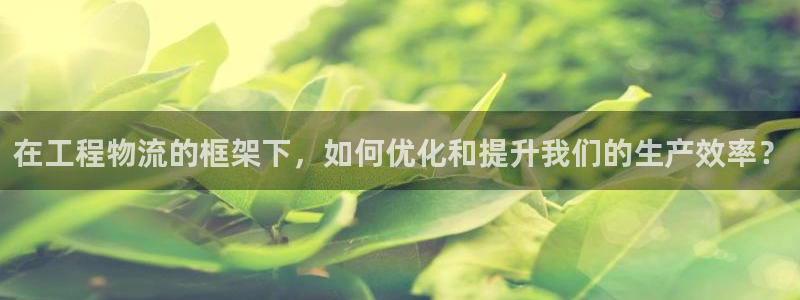 旺财28取保：在工程物流的框架下，如