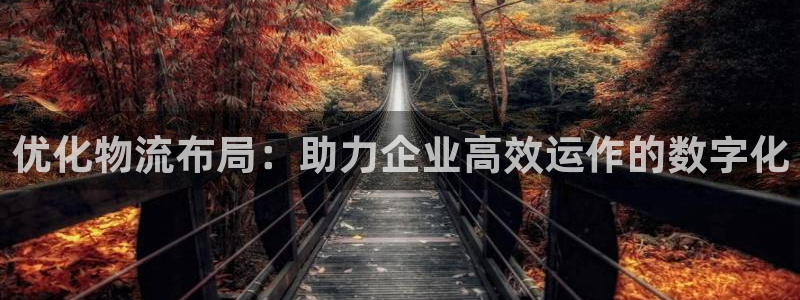 旺财28是啥：优化物流布局：助力企业高效运作的数字化