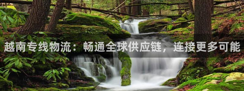 旺财28预测加拿大师准：越南专线物流：畅通全球供应链，连接更