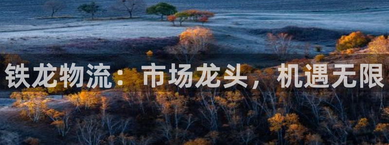 旺财28黑吗：铁龙物流：市场龙头，机