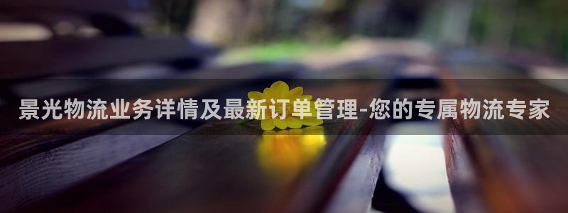 旺财28激活码：景光物流业务详情及最