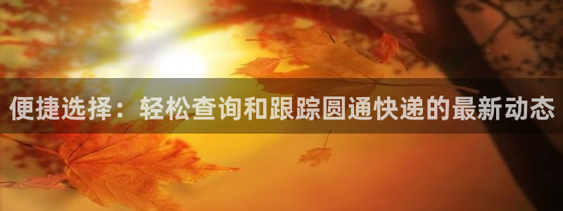 旺财28流水怎么算