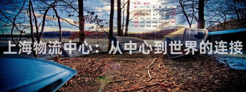 旺财28登录不上咋回事：上海物流中心