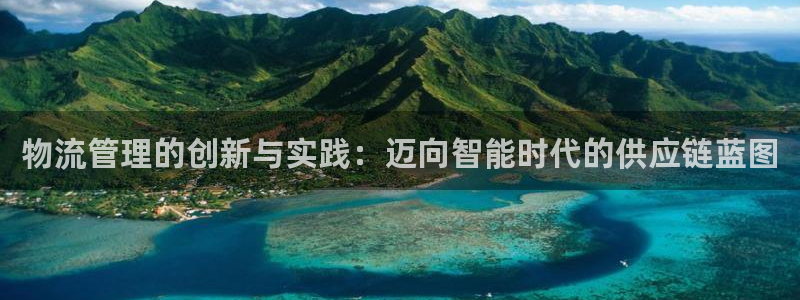 旺财28二维码：物流管理的创新与实践