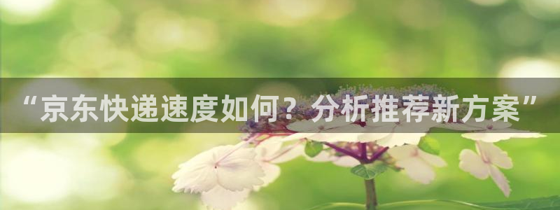 旺财28软件有什么用：“京东快递速度
