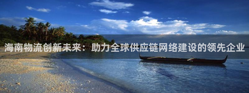 旺财28官方版正版：海南物流创新未来