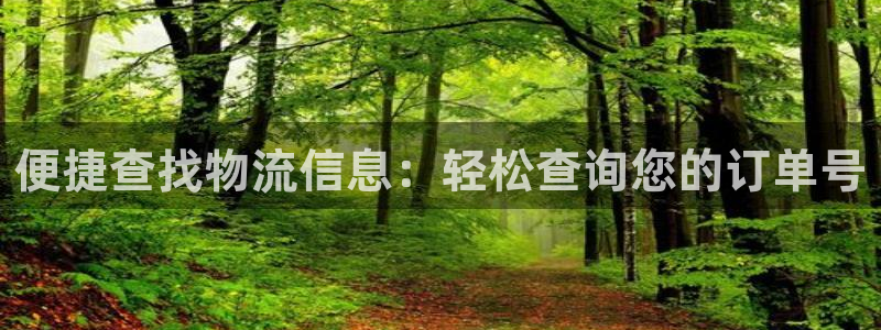 旺财28加拿大模拟器
