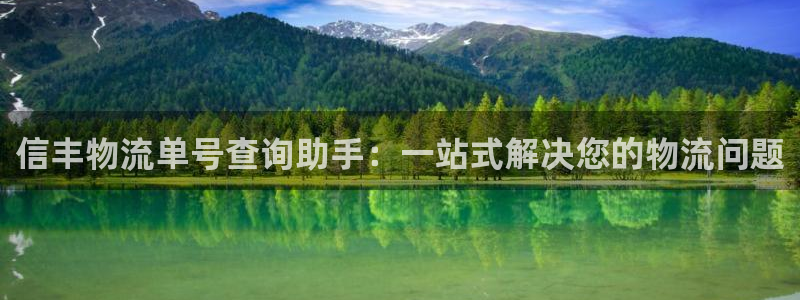 旺财28口：信丰物流单号查询助手：一