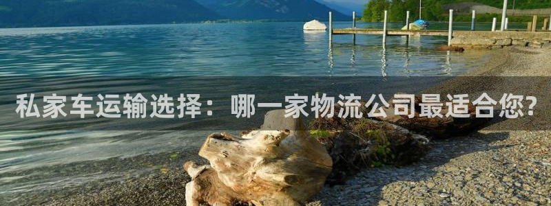 旺财28能提现吗：私家车运输选择：哪