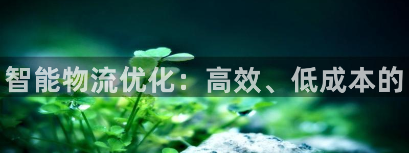 旺财28链官网：智能物流优化：高效、