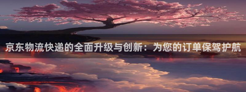 旺财28下载不了：京东物流快递的全面