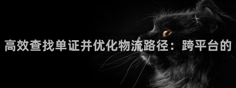旺财28加拿大技巧：高效查找单证并优