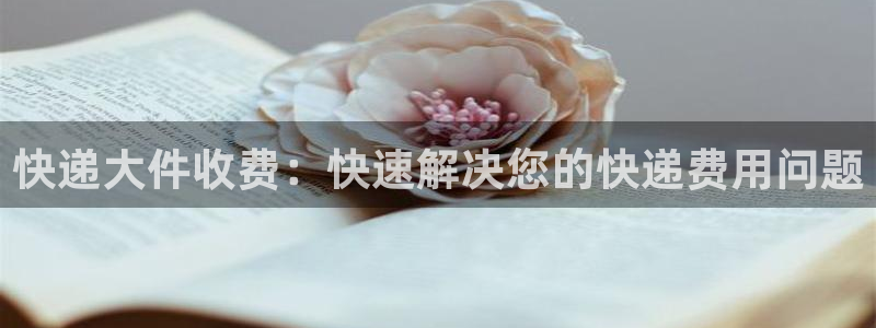旺财28加拿大能提现吗