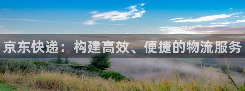 旺财28官网链接：京东快递：构建高效