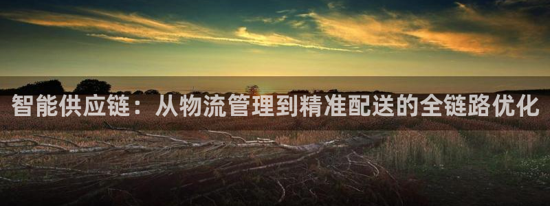 旺财28退款：智能供应链：从物流管理