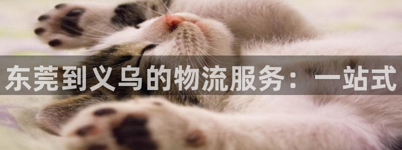 旺财28官网链接