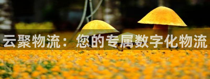 旺财28如何注销账号