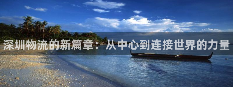 旺财28官方版网站：深圳物流的新篇章：从中心到连接世界的力量