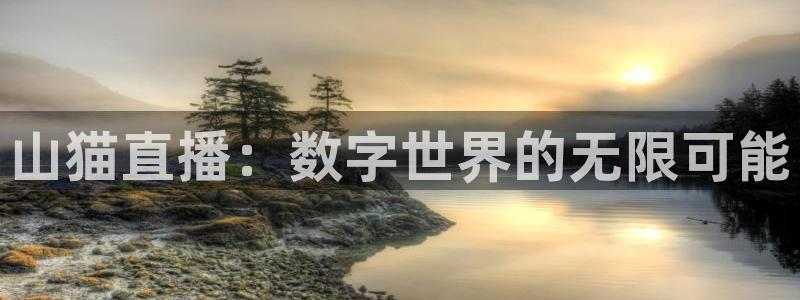 乐球直播免费观看：山猫直播：数字世界的无限可能