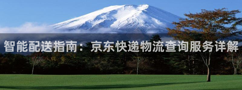 旺财28注册网址百度知道：智能配送指