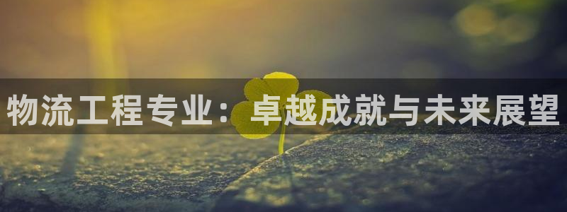 旺财28登录用户名登录不上：物流工程