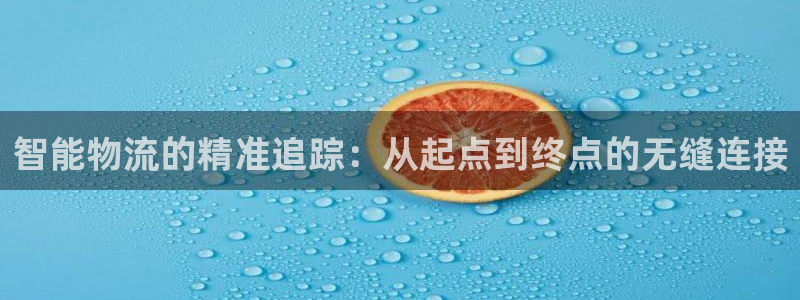 旺财28官方网站：智能物流的精准追踪