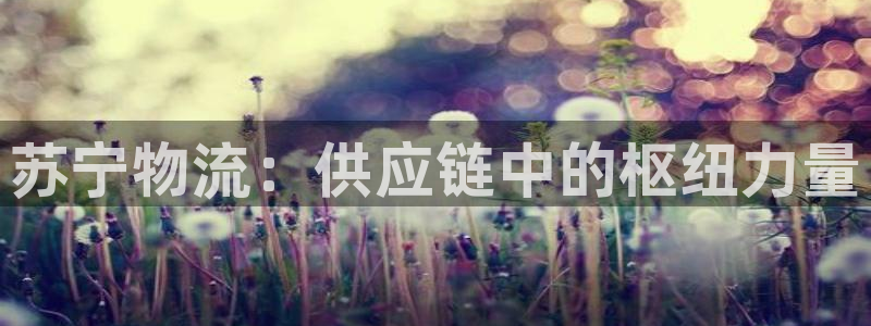 旺财28充值不到账怎么回事：苏宁物流