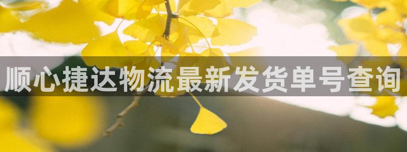 旺财28是啥：顺心捷达物流最新发货单