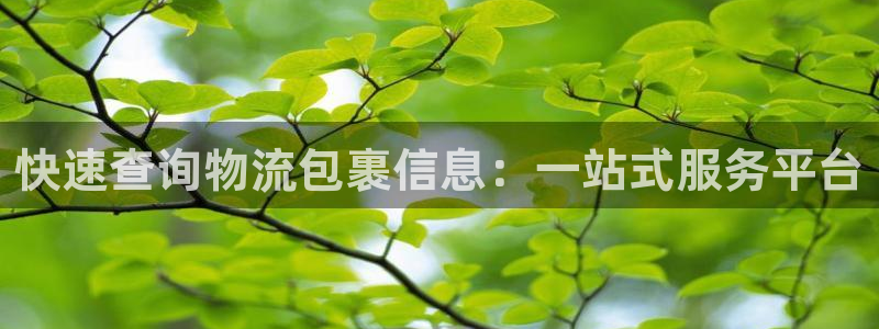 旺财28连接：快速查询物流包裹信息：