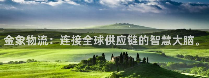 旺财28注册条件：金象物流：连接全球