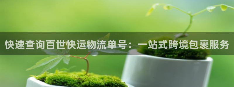 旺财28能退款吗:快速查询百世快运物