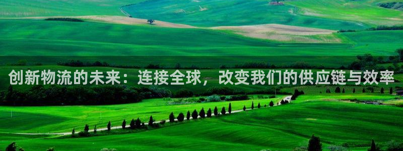 旺财28官网下载链接怎么弄：创新物流的未来：连接全球，改变我