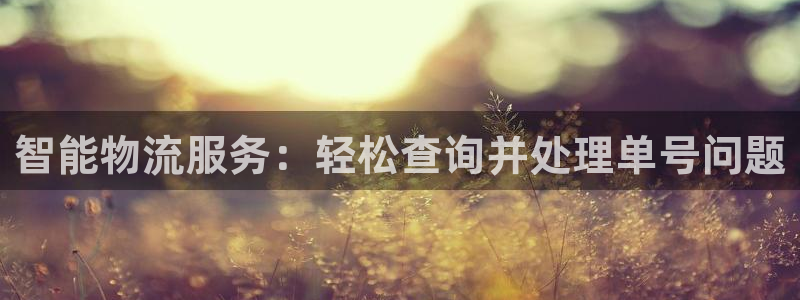 旺财28app赢了500万：智能物流