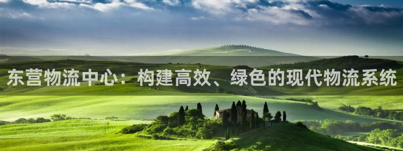 旺财28如何看012路计划：东营物流