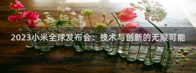 乐球直播免费观看无插件下载：2023小米全球发布会：技术与创新的无限可能