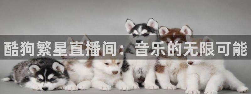 乐球体育在线直播：酷狗繁星直播间：音乐的无限可能